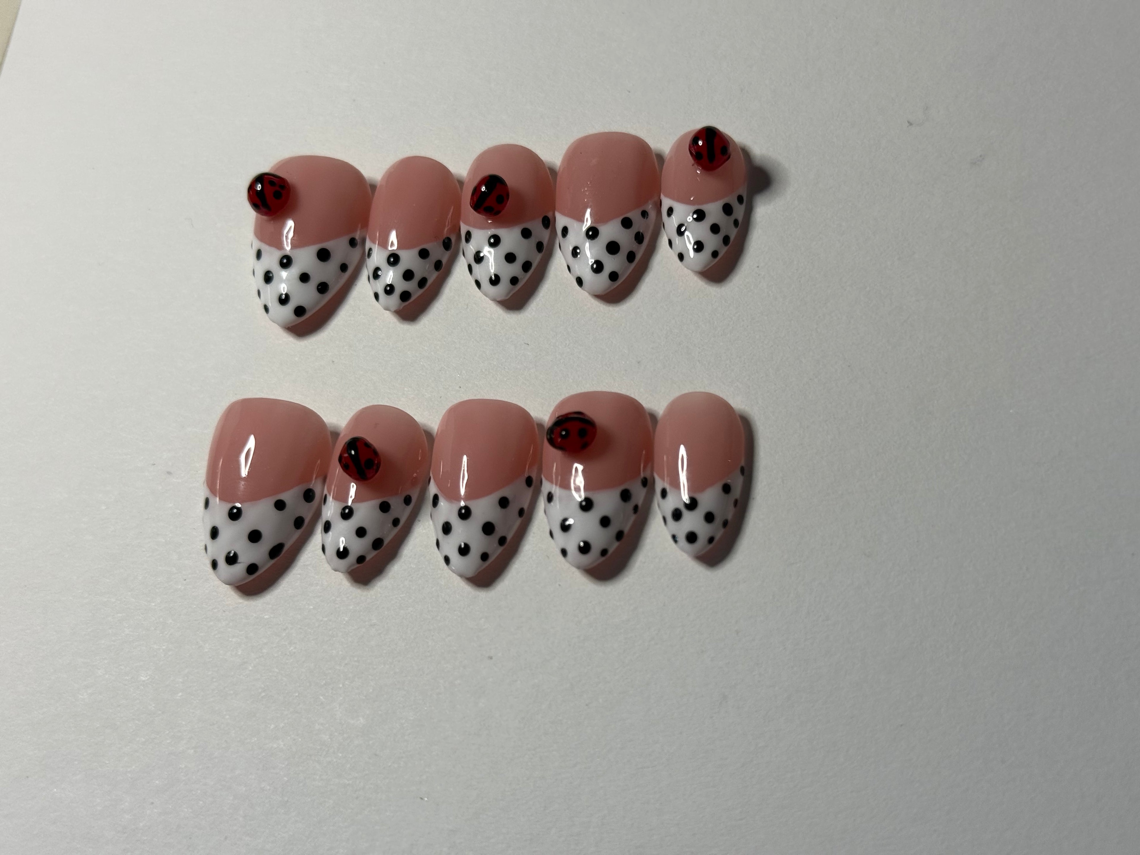 Little Ladybug