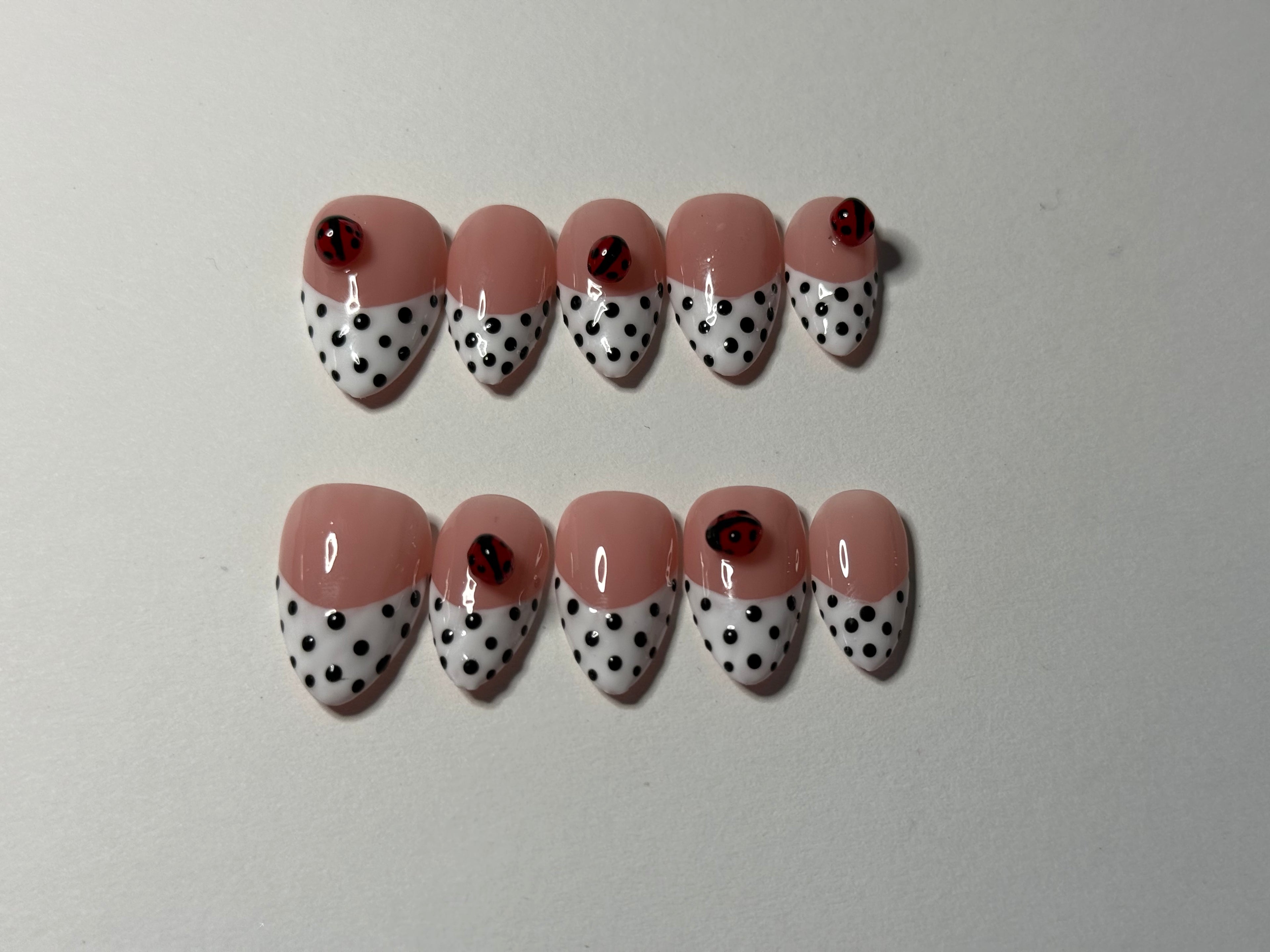 Little Ladybug