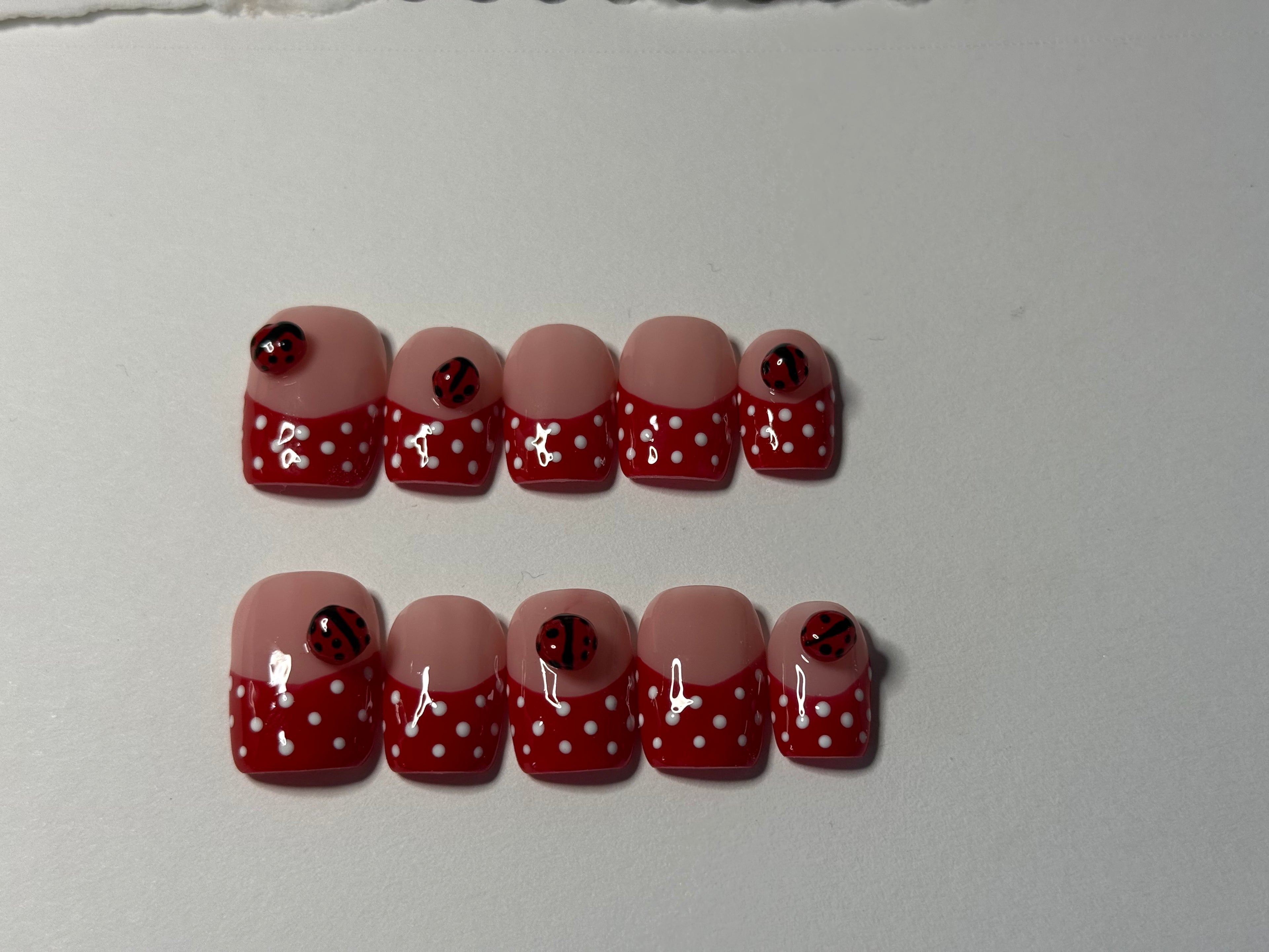 Little Ladybug